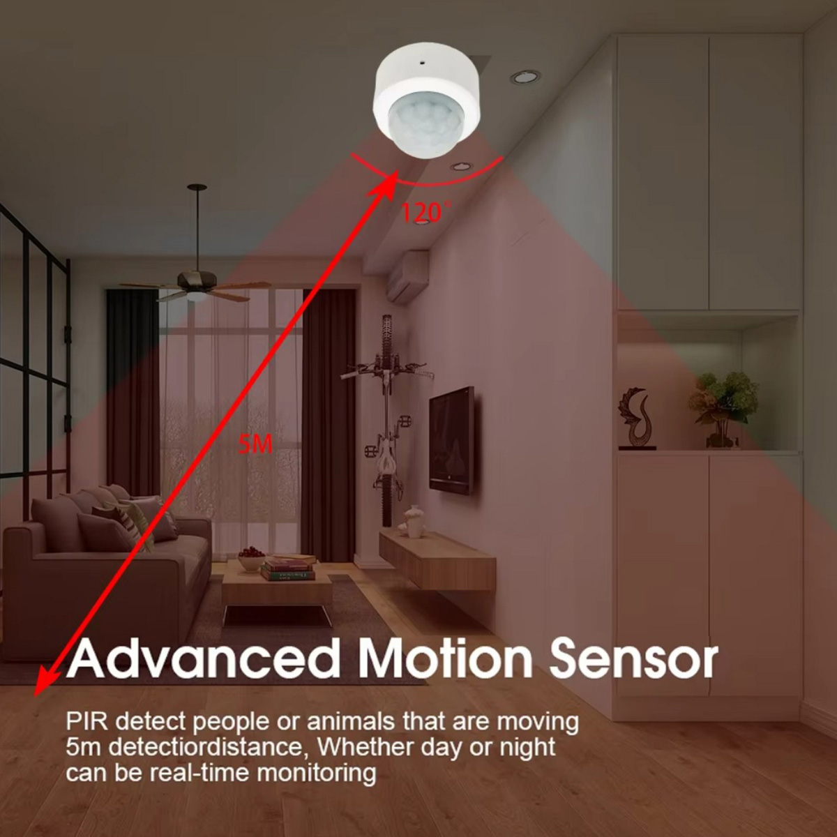 เซ็นเซอร์ตรวจจับความเคลื่อนไหว - Home Security Technology บทวิจารณ์และราคา